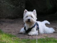 Klik op de foto voor groter formaat